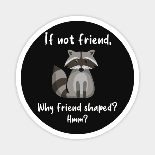 Raccoon Friend Shaped Magnet